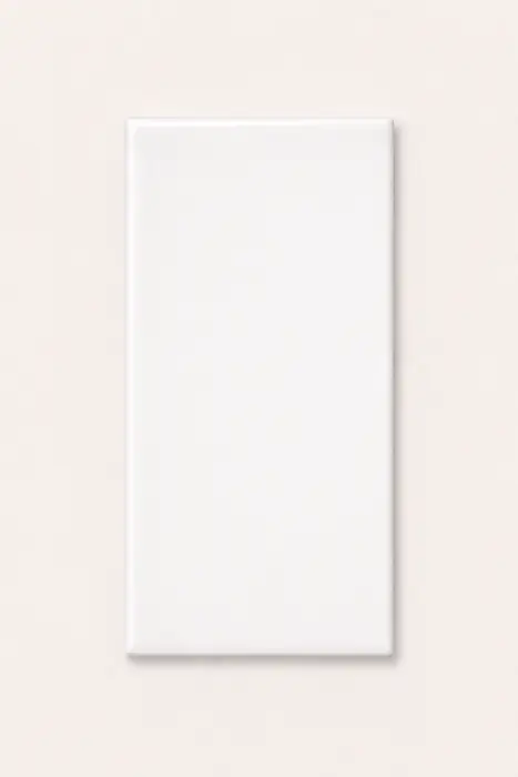 Liso Blanco Puro 5×10